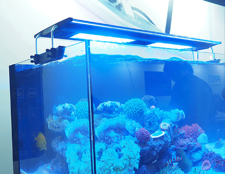 Zetlight ZT-6600II 160W LED Reef Aquarium Light Gallery